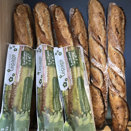 Etui à baguette publicitaire Pépinière Lepage Angers